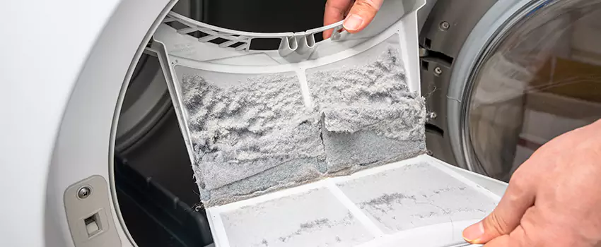 Best Dryer Lint Removal Company in Stevenson Ranch, California